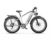 White DUOTTS F26 Lite Electric Bike bicycle on a white background