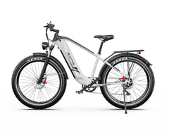 DUOTTS F26 Lite Electric bicycle on a white background