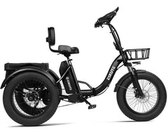 Eskute T302 Pro Cargo Electric Trike