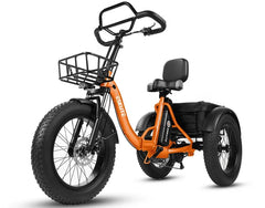 Eskute T302 Pro Cargo Electric Trike