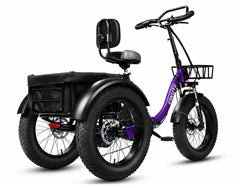 Eskute T302 Pro Cargo Electric Trike
