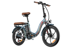 FAFREES F20 Pro City Electric Bike