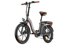 FAFREES F20 Pro City Electric Bike
