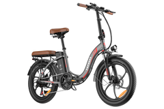 FAFREES F20 Pro City Electric Bike