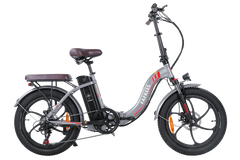FAFREES F20 Pro City Electric Bike