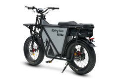 Riding Times GT53 Electric Cargo Bike - Pogo Cycles