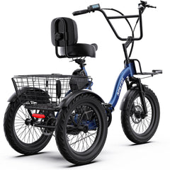 APEFOX RH30 Cargo Tricycle Bike