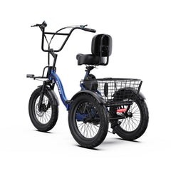 APEFOX RH30 Cargo Tricycle Bike