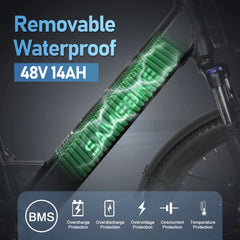 Samebike RS-A01 Plus Electric Bike
