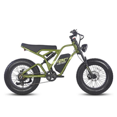 Fafrees F20 Ultra Electric Bike