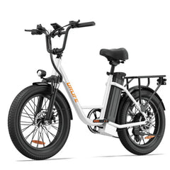 URLIFE E20 Step-Thru Electric Bike