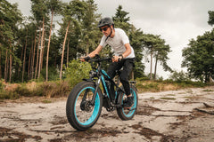 Vitilan H5 Dual Motor Electric Bike