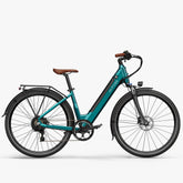 Fiido C11 Pro City Electric Bike
