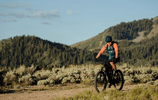 E-Bikes Ideal For Cycling Tours - Pogo Cycles