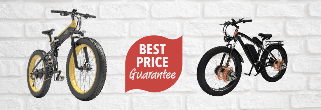 Two electric bikes with fat tires and best price guarantee badge, Pogo Cycles online store