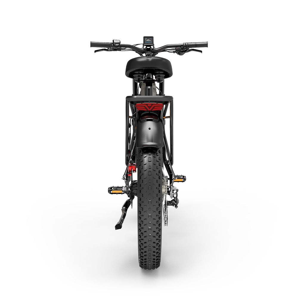 Lankeleisi MG800Max Dual Motor all Terrain Bike - Pogo Cycles