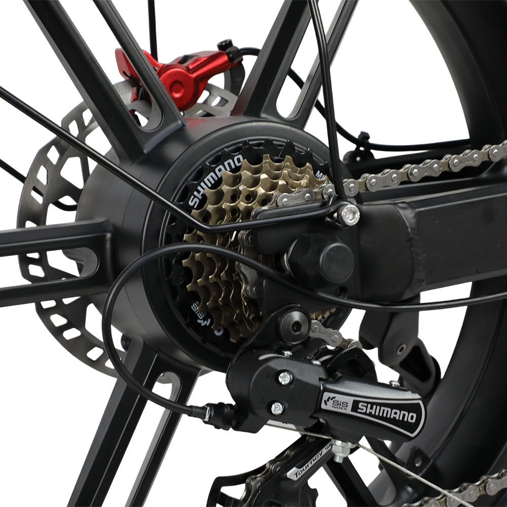 DUOTTS F20 Upgraded Electric Bike