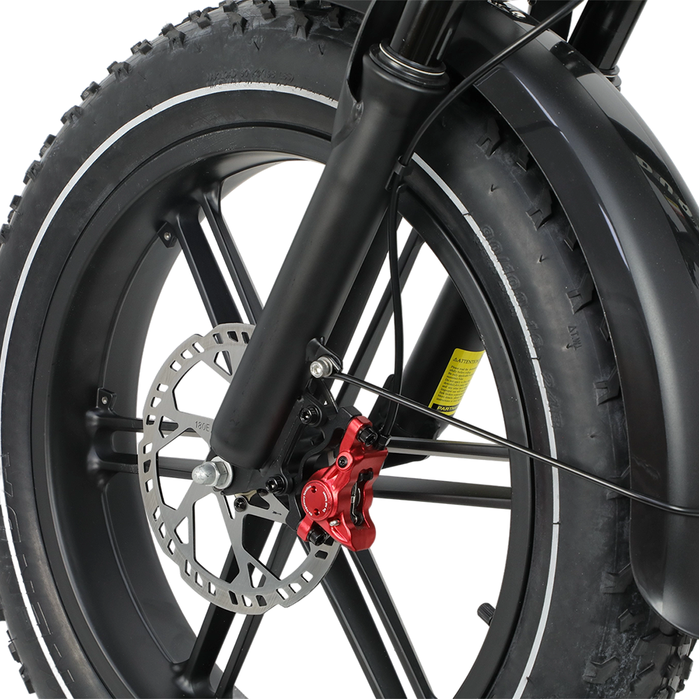 DUOTTS F20 Upgraded Electric Bike