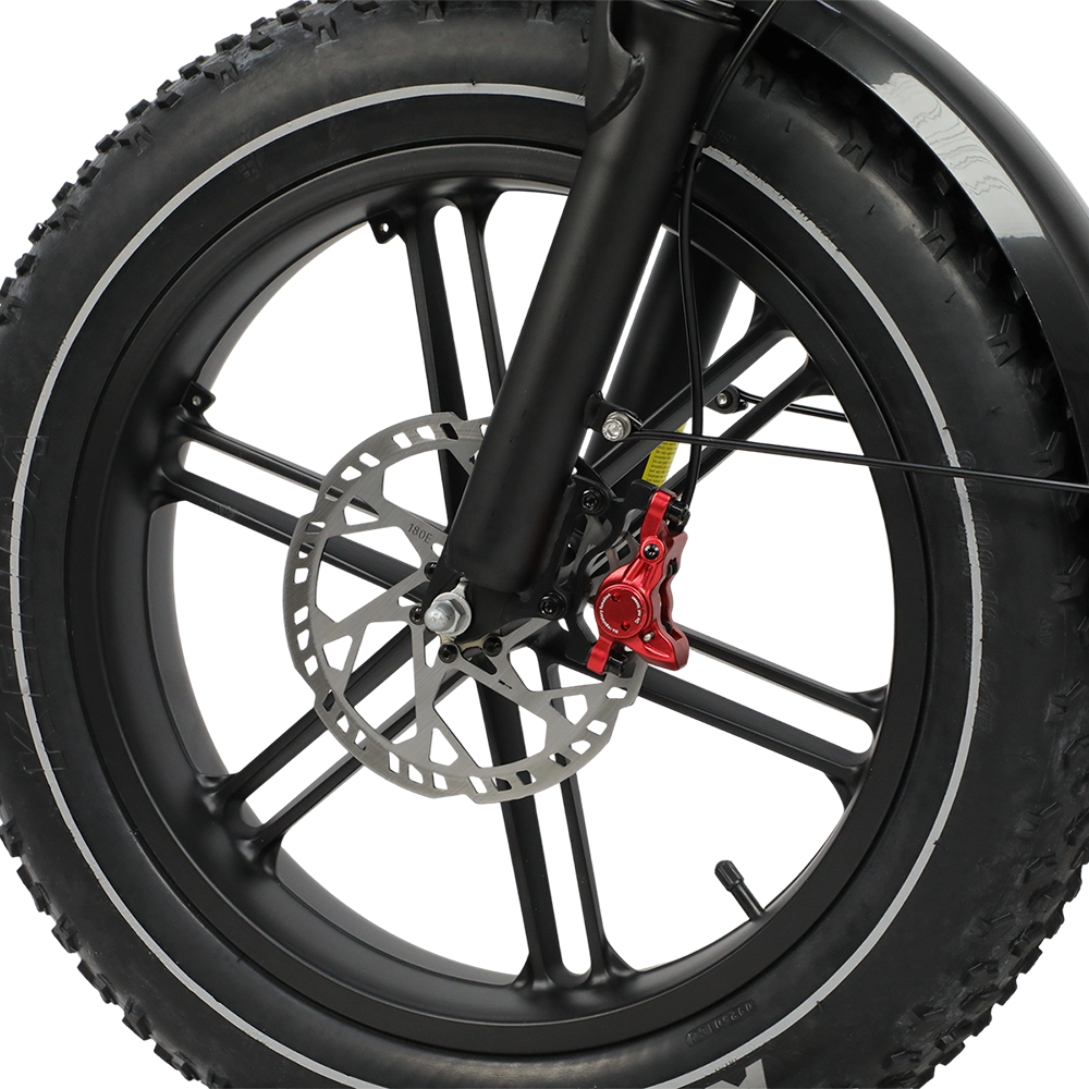 DUOTTS F20 Upgraded Electric Bike