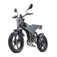 RANDRIDE DM711 Dual Motor Electric Bike