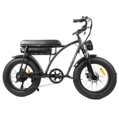 Bezior XF001 Plus Mountain Electric Bike