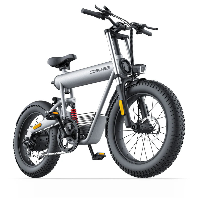 Bicicleta eléctrica de carga todo terreno Coswheel T20