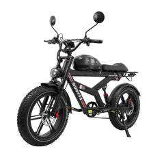 DUOTTS F20 Upgraded Electric Bike