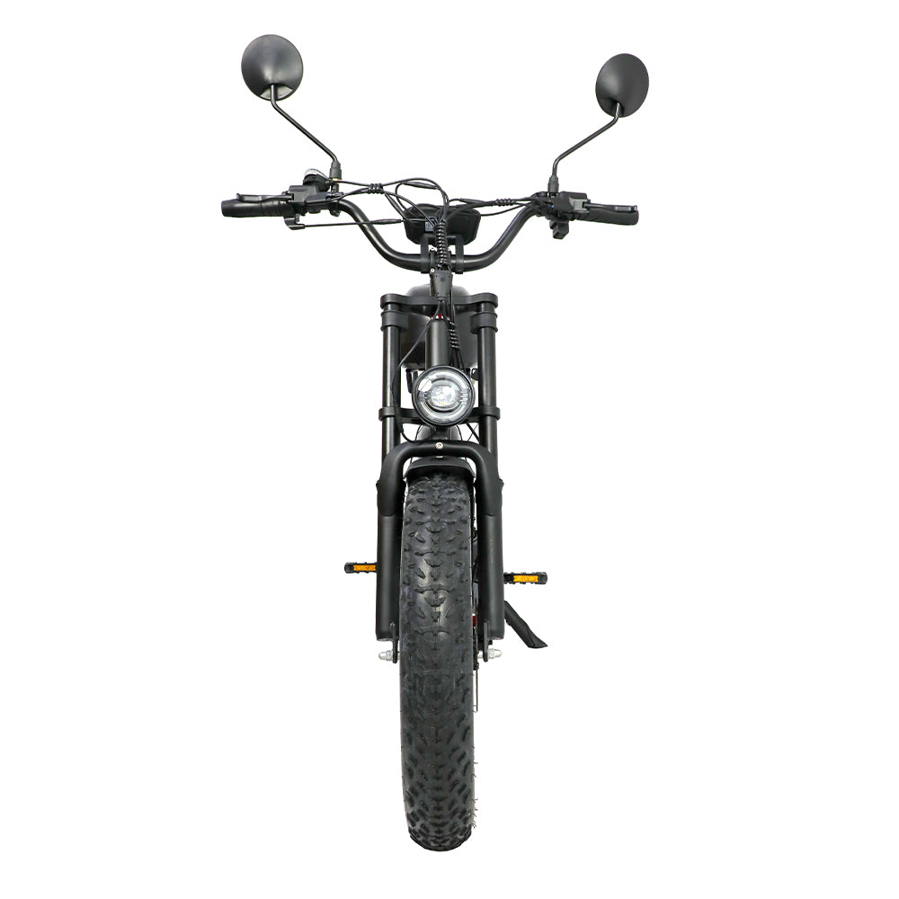DUOTTS F20 Upgraded Electric Bike