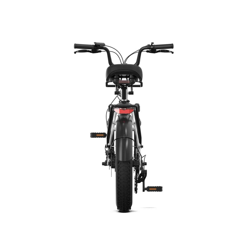 PVY LS20 Electric Bike