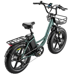 Eletronbike OC20 Electric Bike