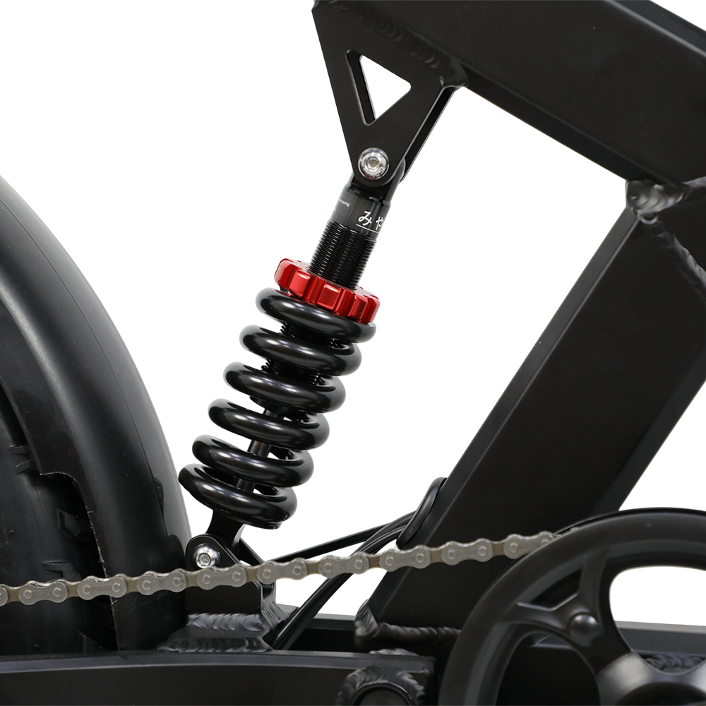 DUOTTS F20 Upgraded Electric Bike