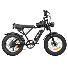 Ridstar Q20 Mini Electric Bike