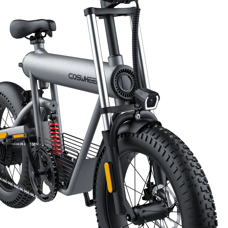 Bicicleta eléctrica de carga todo terreno Coswheel T20