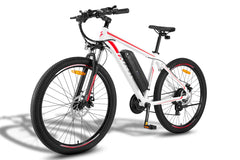 Fafrees F28 MT Mountain Electric Bike - UK - Pogo Cycles