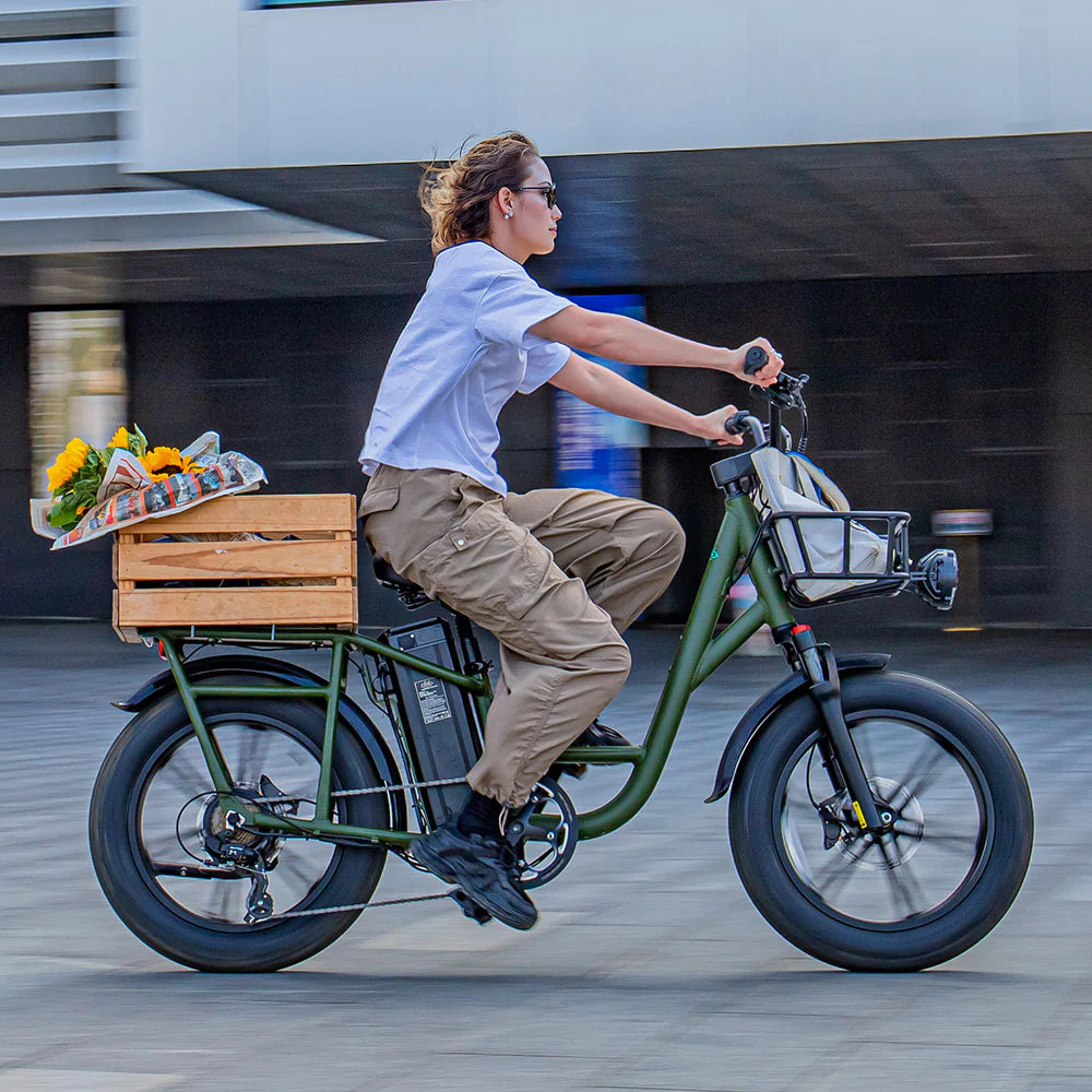 FIIDO T1 pro v2 upgraded Cargo Electric Bike - Pogo Cycles