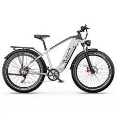 DUOTTS F26 Lite Electric Bike